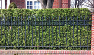 Iron fence New York